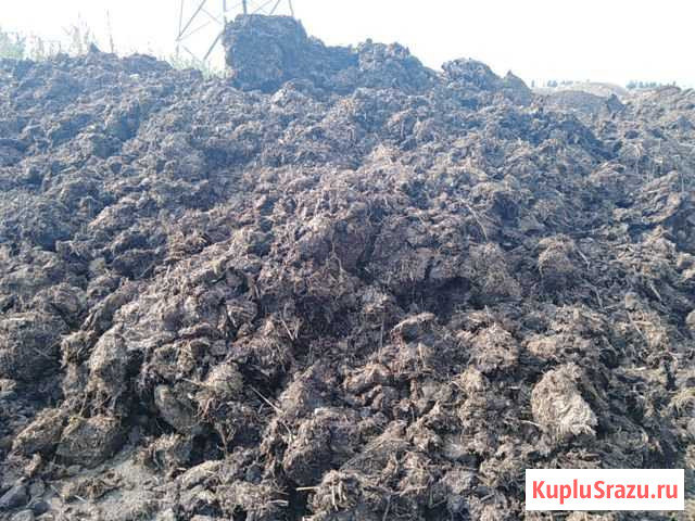 Навоз коровий, куриный перегной Северный - изображение 1