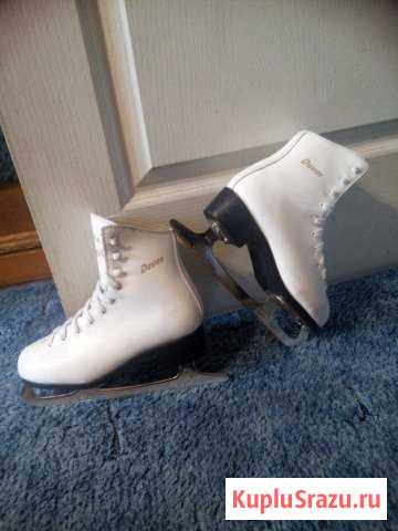 Коньки фигурные Прокопьевск - изображение 1