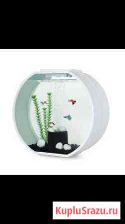 Аквариум Deco O Кемерово