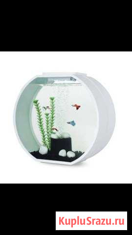 Аквариум Deco O Кемерово - изображение 1