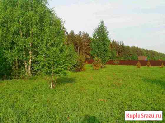  Грибановский