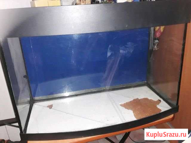 Большой аквариум Золотково - изображение 1