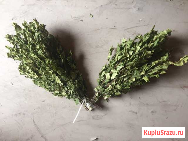 Березовые веники Белово - изображение 1