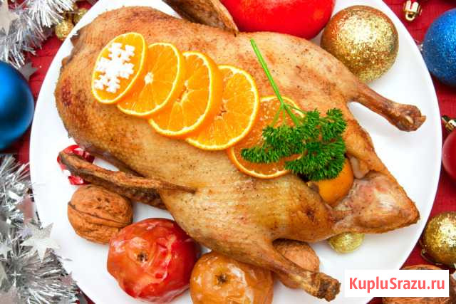 Гуси утки Новокузнецк - изображение 1