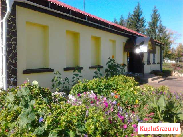 Дом 267 кв.м. на участке 20 сот. Новосиль - изображение 1