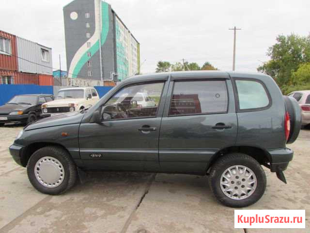 Chevrolet Niva 1.7 МТ, 2008, внедорожник Лузино - изображение 1