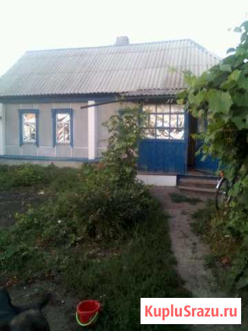 Дом 40 кв.м. на участке 18 сот. Земетчино - изображение 1
