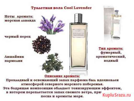 Мужская туалетная вода Cool Lavender Северодвинск