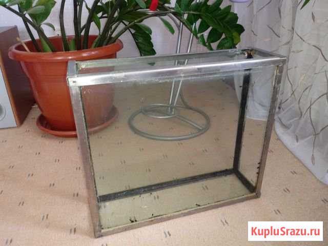 Аквариум Братск - изображение 1