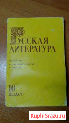 Учебное пособие Русская литература 10 класс Юрга - изображение 1