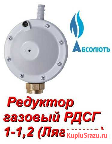 Редуктор газовый рдсг 1-1,2 Лягушка Хабаровск - изображение 1