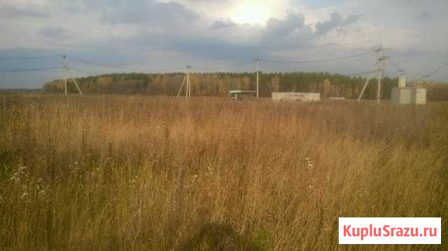  Курьи - изображение 1