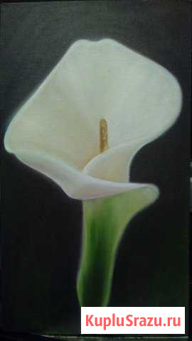 Картина Новокузнецк - изображение 1