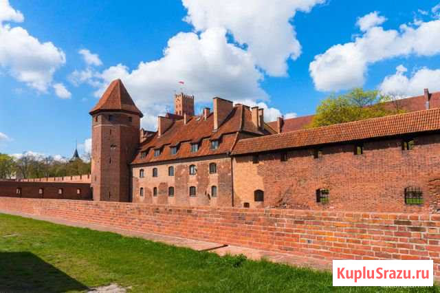 Путешествие на Куршскую косу Калининград - изображение 1