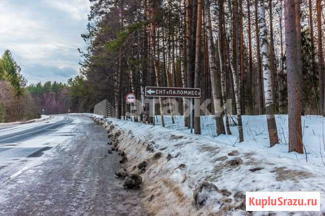  Петрозаводск - изображение 1