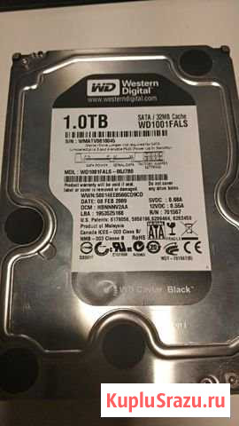 1 тб Жесткий диск WD Black - 2шт Тюмень - изображение 1