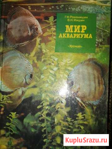 Книга Широчанка - изображение 1