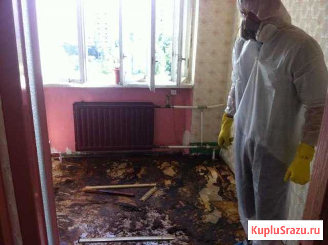 Уборка квартиры после покойных,смерти в Кемерово Кемерово - изображение 1