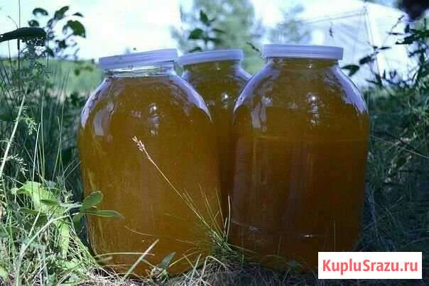 Продается мед Дубовое - изображение 1