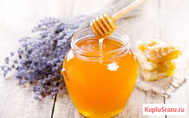 Продам мед 2019 г. (июль) Белгород - изображение 1