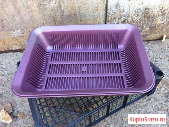 Лоток для кошки Дзержинск - изображение 1