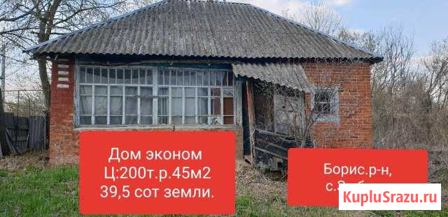 Дом 50 кв.м. на участке 40 сот. Борисовка - изображение 1