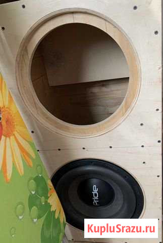 Сабвуфер Елец - изображение 1
