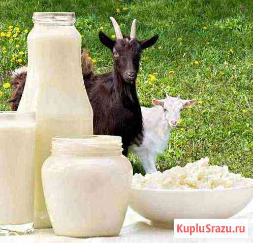 Молоко и молочные продукты Арзамас