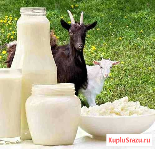 Молоко и молочные продукты Арзамас - изображение 1