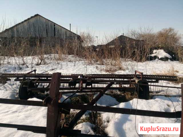 Грабли Саргатское - изображение 1