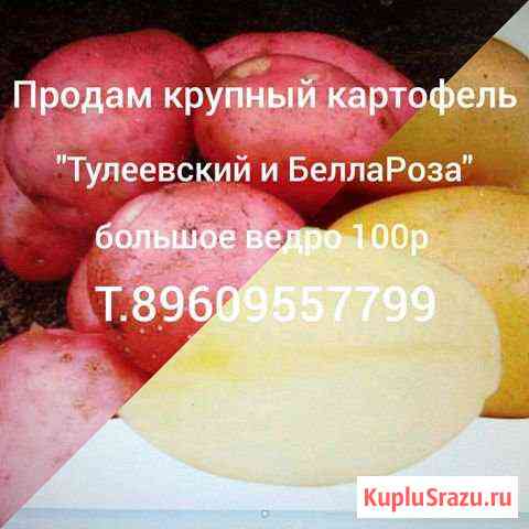 Продам отборный картофель Заринск