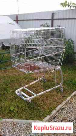 Клетка для кроликов или др. живности Серпухов