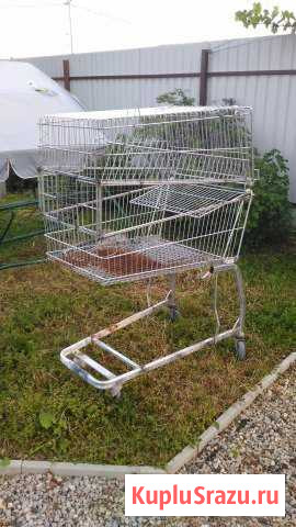 Клетка для кроликов или др. живности Серпухов - изображение 1