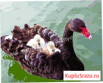 Картина по номерам, 40х50 см, арт 3143 Чита - изображение 1