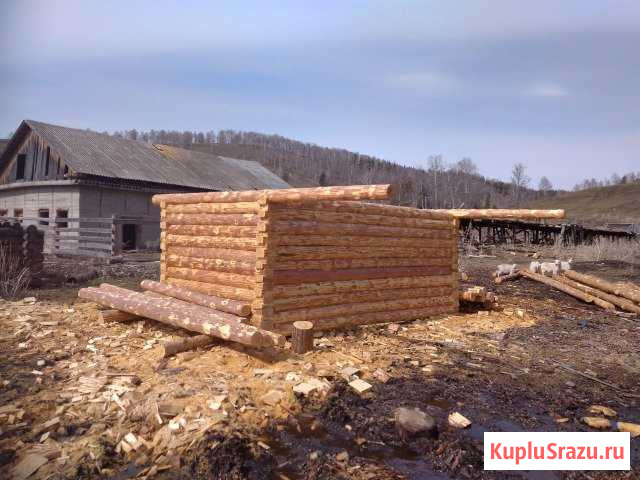 Продам сруб бани 5х3, h-2.20 срублен в лапу из зим Учалы - изображение 1