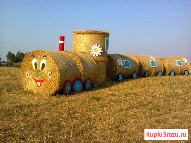 Луговое сено в тюках Бийск - изображение 1