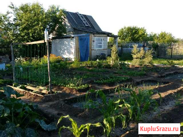Дача 20 кв.м. на участке 5 сот. Яровое - изображение 1