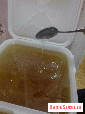 Мед Горный с Липы, с Подсолнуха 2019 Абинск - изображение 1