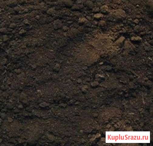 Чернозем, навоз, грунт, перегной Арзамас - изображение 1