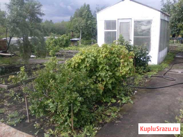  Копейск - изображение 1