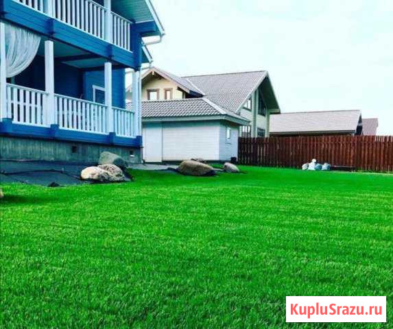 Жидкий Газон Сочная Трава Петропавловск-Камчатский - изображение 1