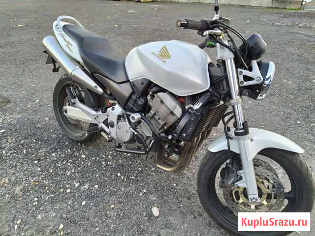Honda cb 900 hornet Нижний Новгород - изображение 1