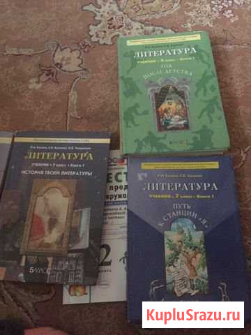 Русский язык и литература Авторы: Бунеев, Бунеева Махачкала - изображение 1
