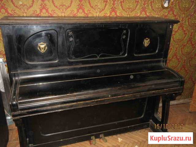 Пианино Шредер 1906 года Санкт-Петербург - изображение 1