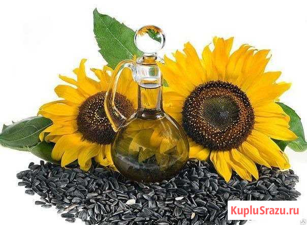 Семечка масляничная Абинск - изображение 1