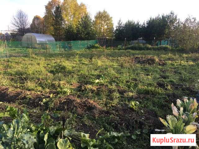 Дача 70 кв.м. на участке 12 сот. Белоярский - изображение 1