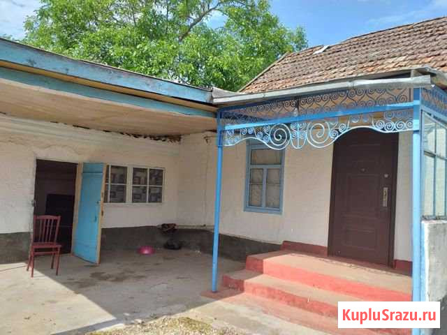 Дом 200 кв.м. на участке 48 сот. Кишпек - изображение 1