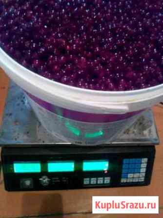 Брусника свежая Дальневосточная Хабаровск