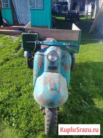Продам муравей Алейск - изображение 1