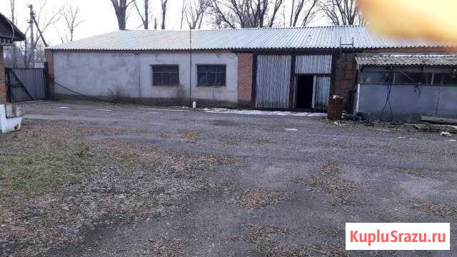 Помещение свободного назначения Большая Мартыновка - изображение 1